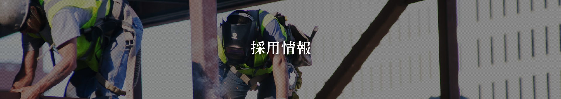 採用情報